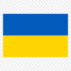 language image